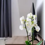 No 28 & *