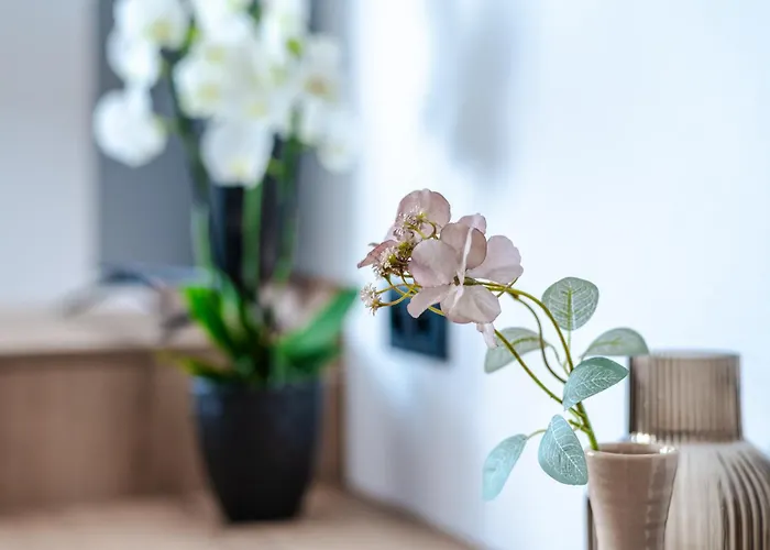 No 28 & Appartement *